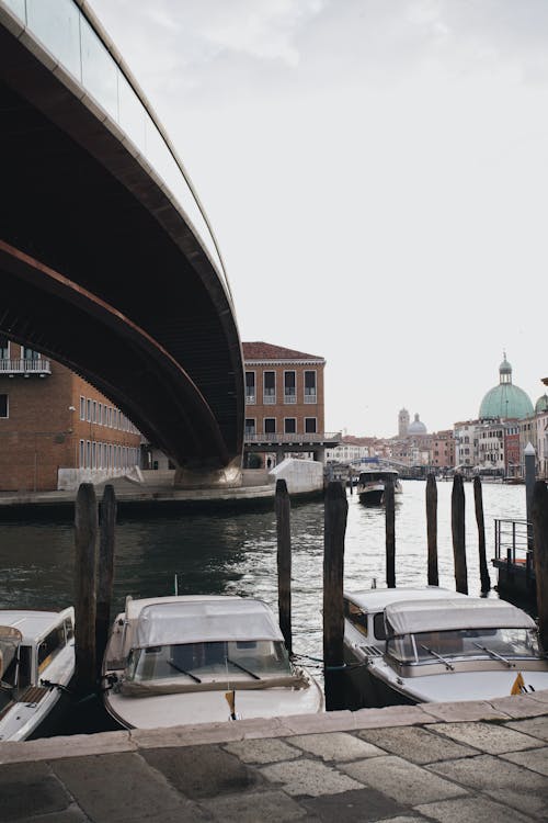 Boats Docked under the Bridge