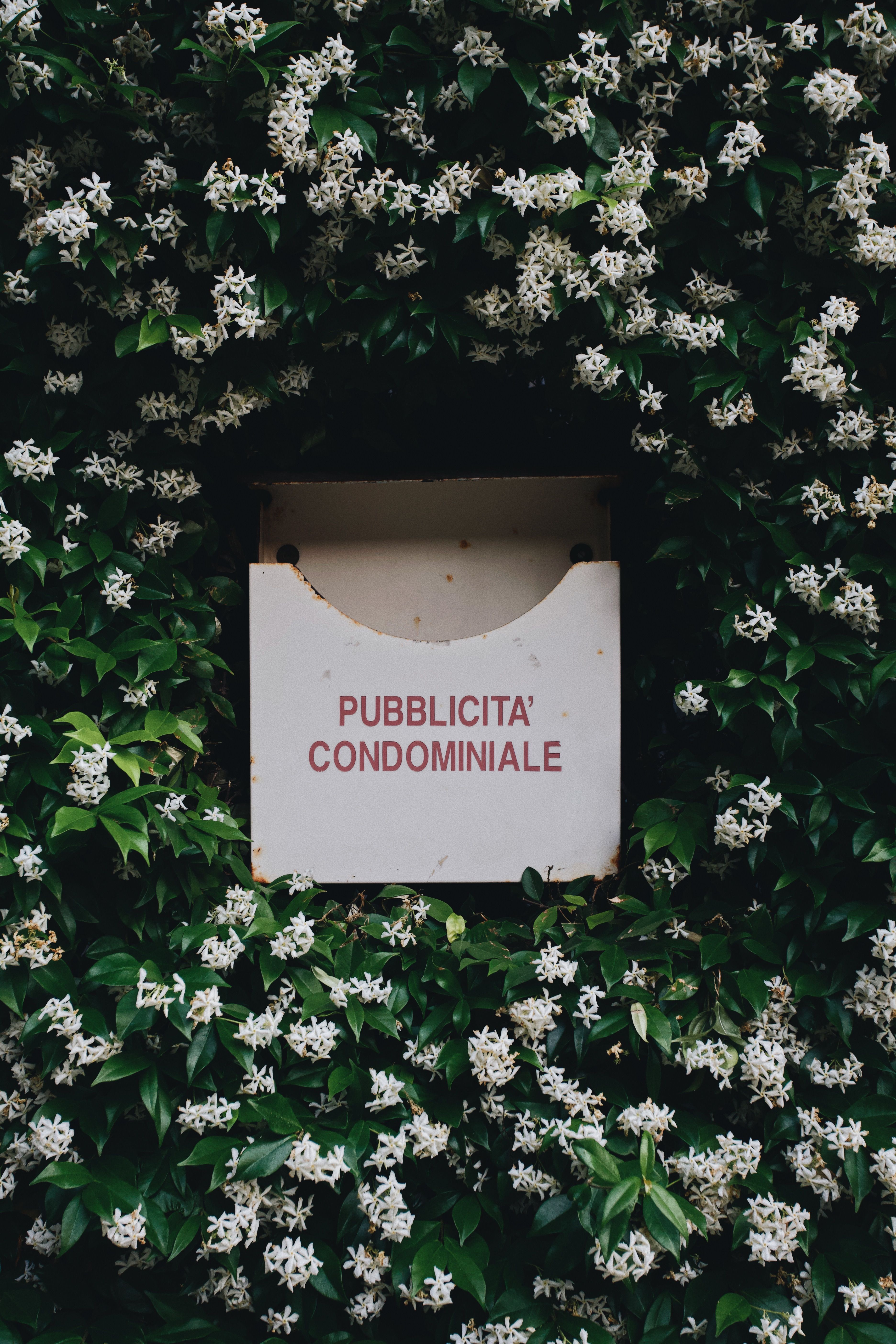 A condominium advertisement sign among lush jasmine flowers in Italy.