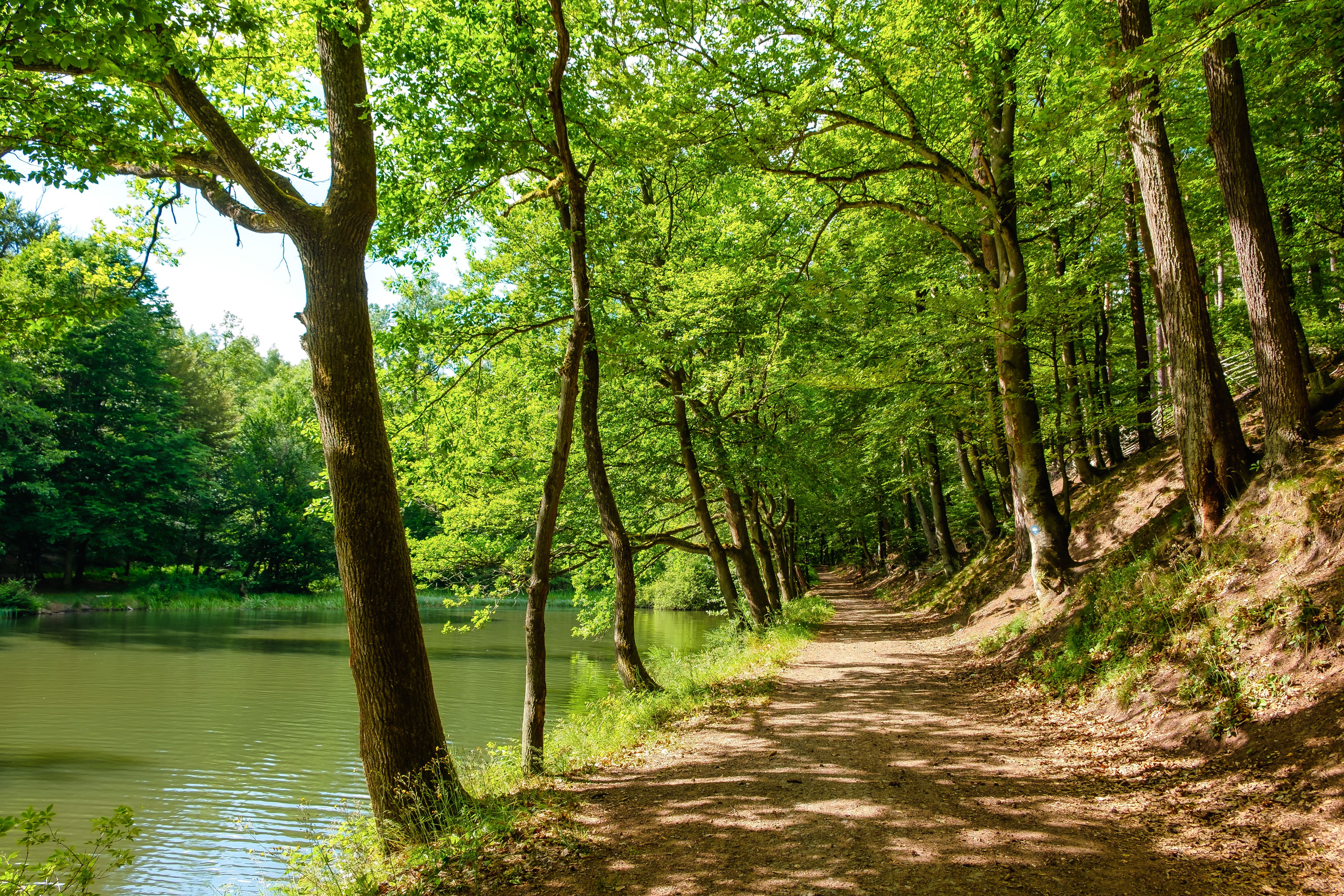 Governor Spanberger announces Virginia’s first Director of Outdoor Recreation in Danville — Photo by Holger Schué on Pexels