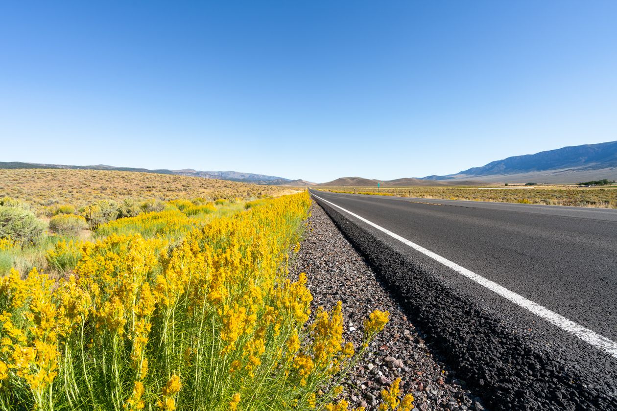 Open highway through the Texas countryside