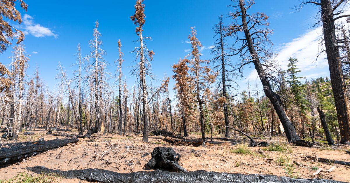 How 8 scientific reports used evidence to shift climate change awareness How 8 scientific reports used evidence to shift climate change awareness