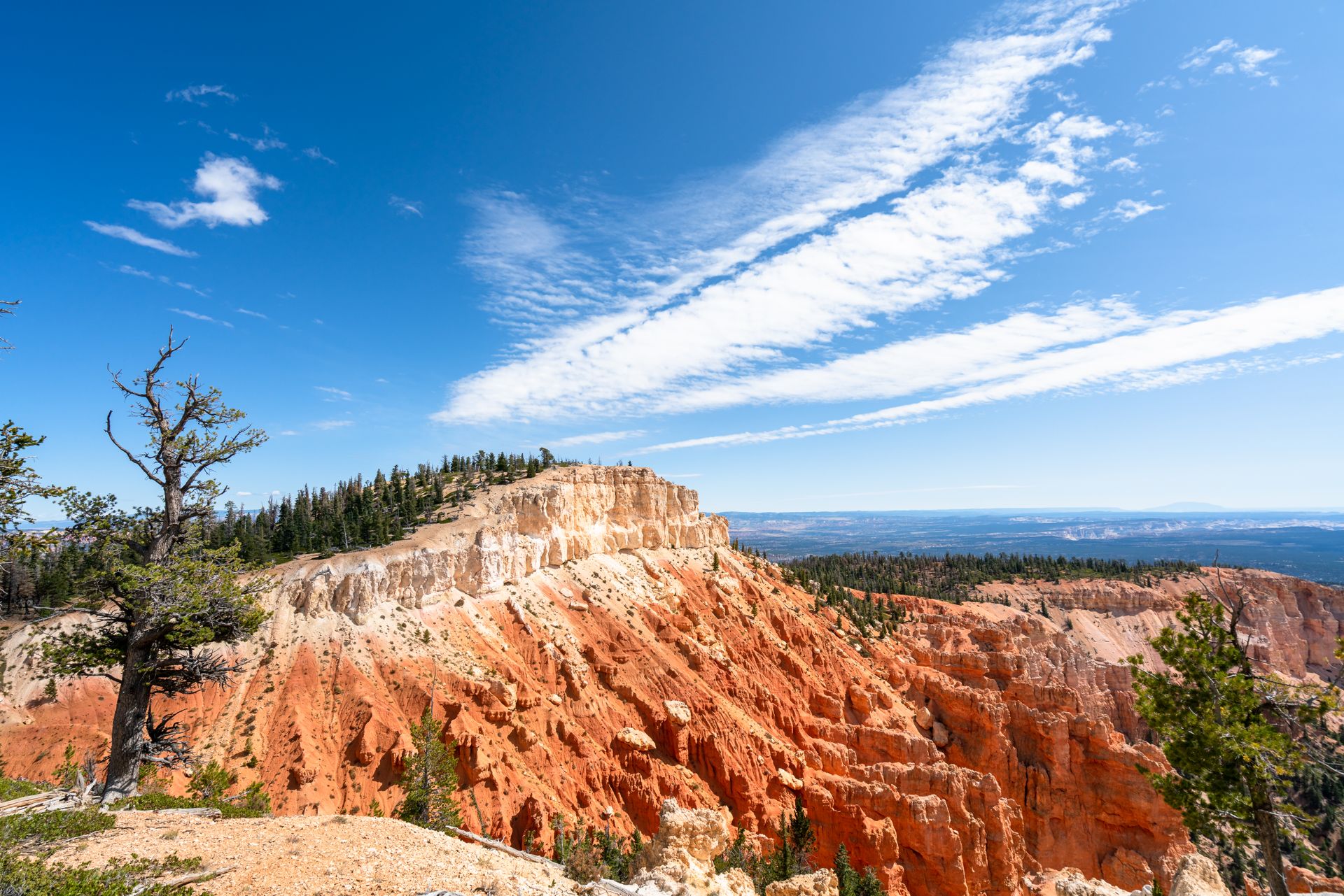 Breathtaking landscape of Cedar Breaks, Utah with vibrant red rock formations under a blue sky.