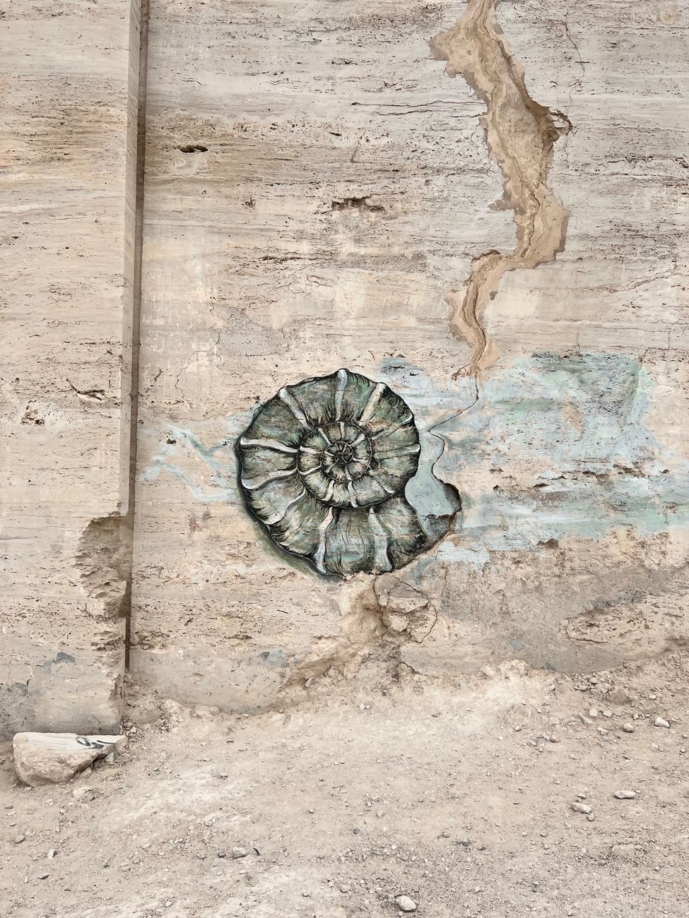 Fossil Workshop of Erfoud 2