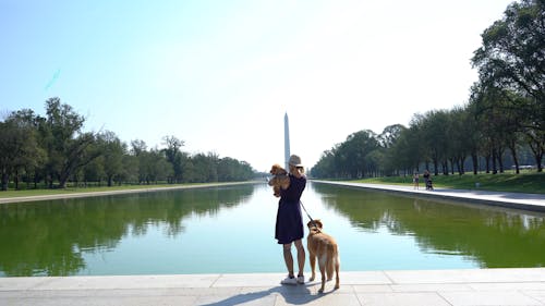 Free Woman with Dogs Standing Near the Lincoln Memorial Reflecting Pool  Stock Photo