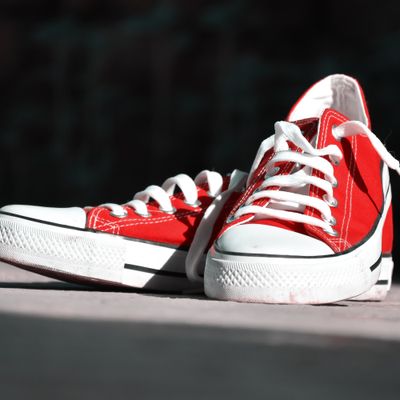 Ansary Footwear lifestyle photo 1