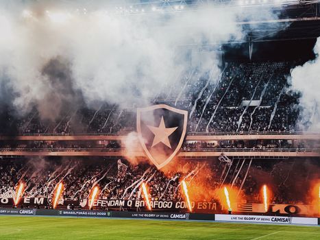 Cavalieri chega ao Botafogo com promessa de experiência e liderança - imagem 1