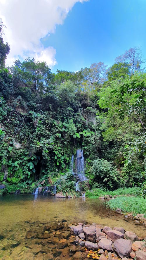 Foto profissional grátis de cachoeira, cachoeiras, fotografia da natureza