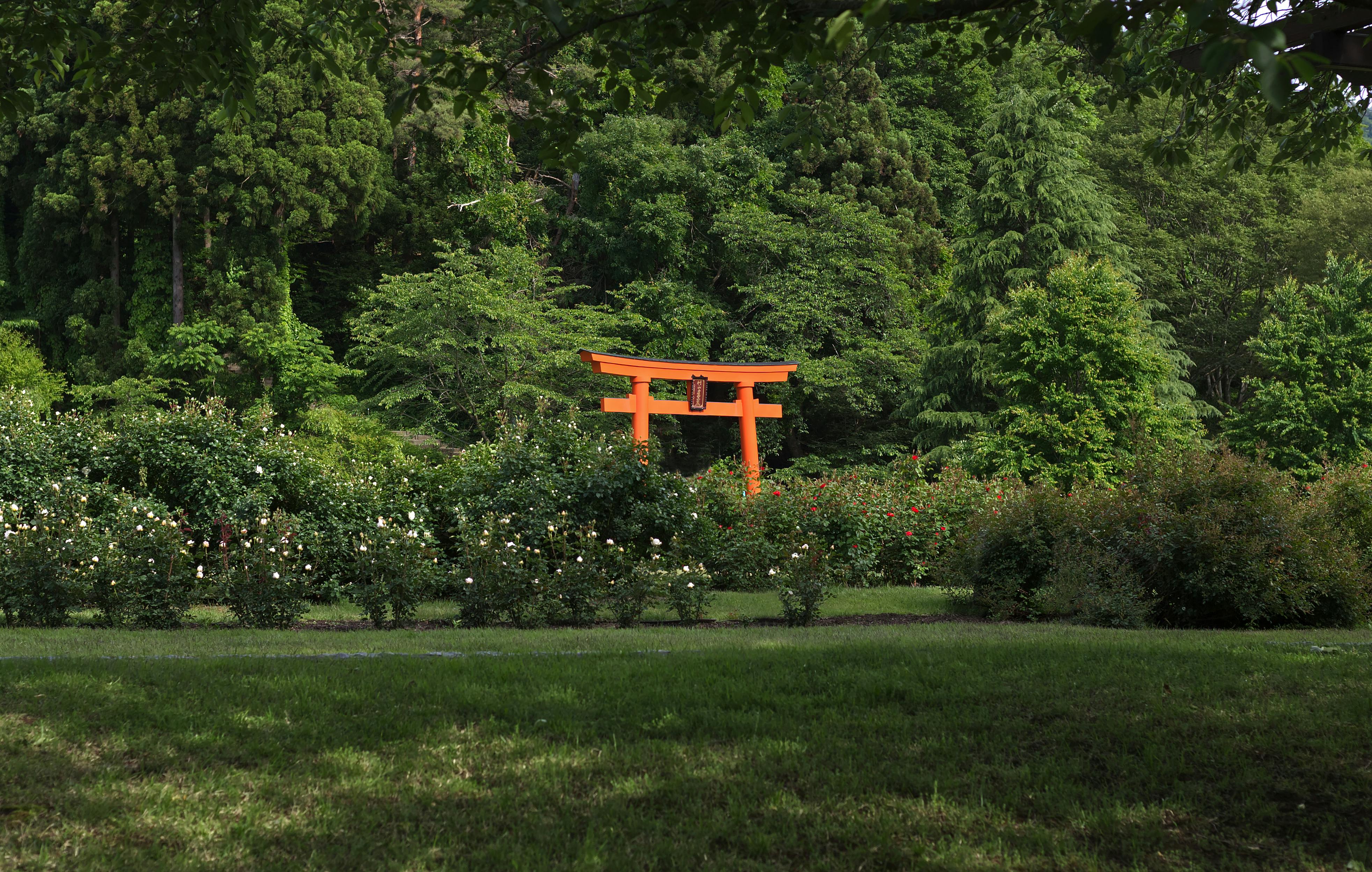 Murou Art Forest In Japan Free Stock Photo murou-art-forest-in-japan-free-stock-photo