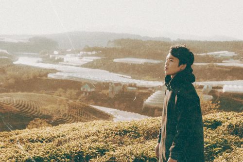 Free A young man stands thoughtfully overlooking a scenic cropland landscape at sunrise. Stock Photo