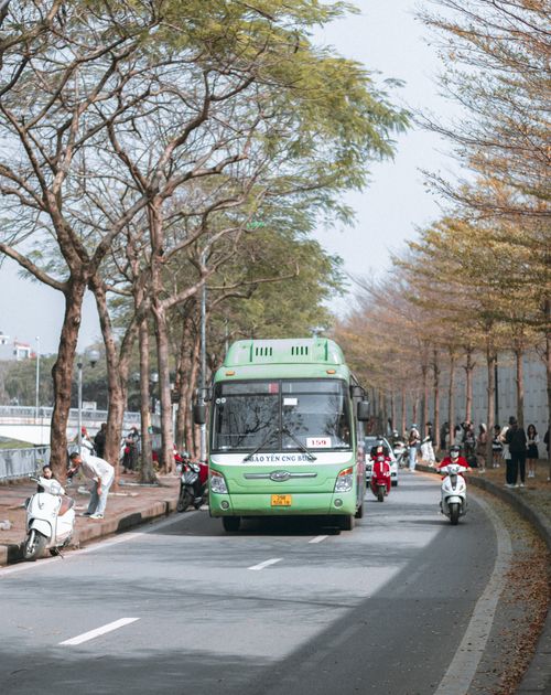 Free Green bus and motorcycles on a tree-lined road in Vietnam, vibrant urban lifestyle. Stock Photo