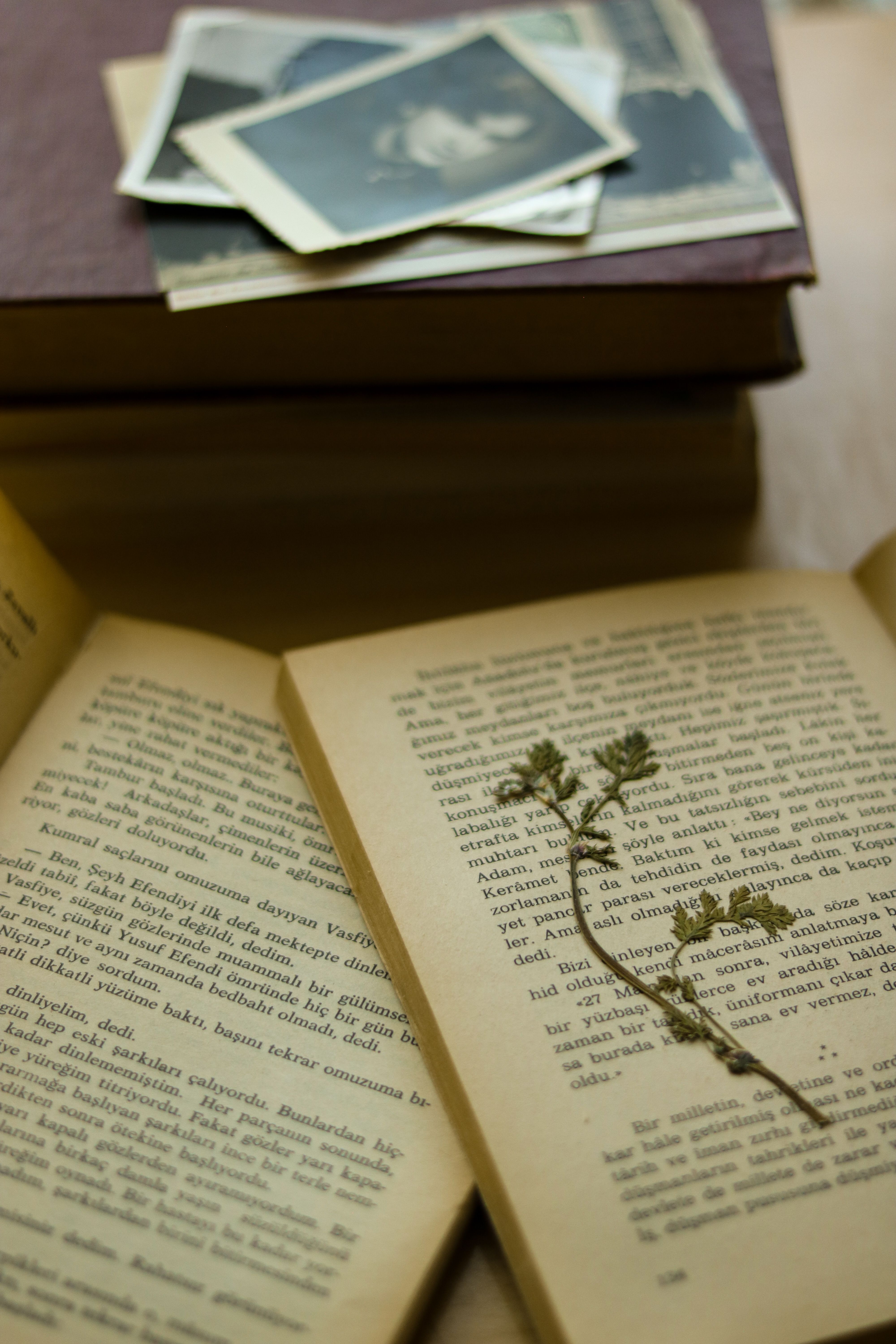 Genealogybook