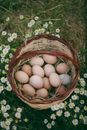 Basketful Images
