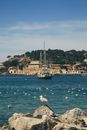 City Se Port with Seagulls