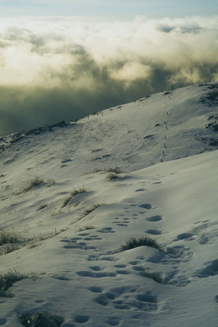 Mountain Hills Covered In Snow