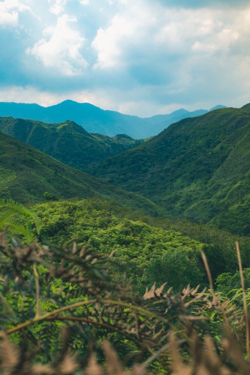 Free A vibrant mountain landscape with dense greenery under a partly cloudy sky. Stock Photo