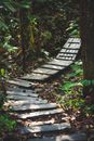 Wooden Path in Tropical Wood