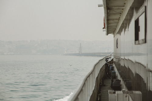 Základová fotografie zdarma na téma deska, mlha, moře