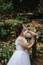 Fall into Images