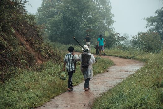 People walking on a wet path in a lush park during a rainy day.
