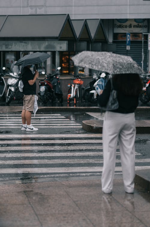 거리, 도로, 보행자의 무료 스톡 사진