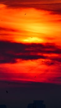A vivid red and orange sunset sky with clouds and silhouetted birds creates a dramatic atmosphere.