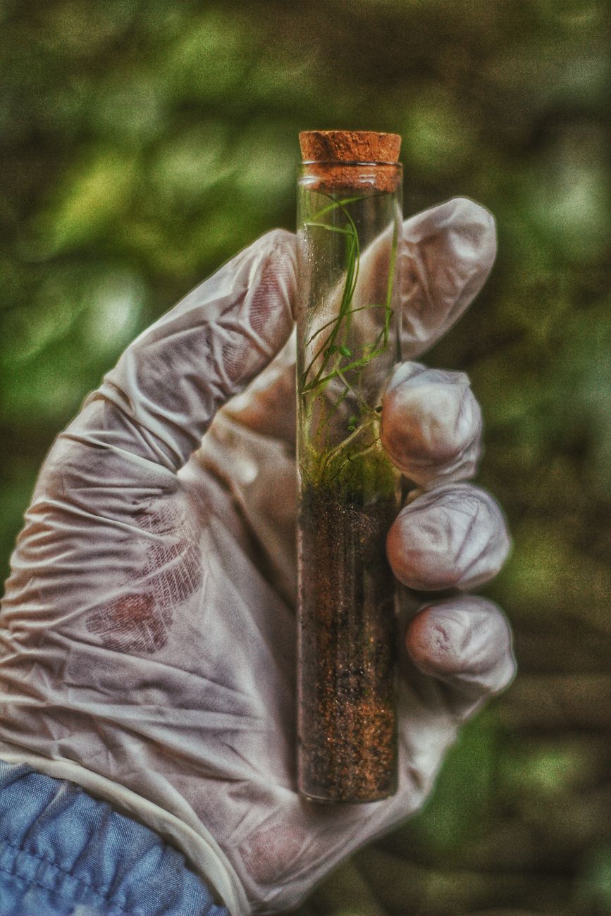 soil ribbon test