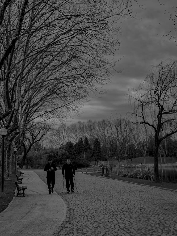 Man With Crutches Walking In Park