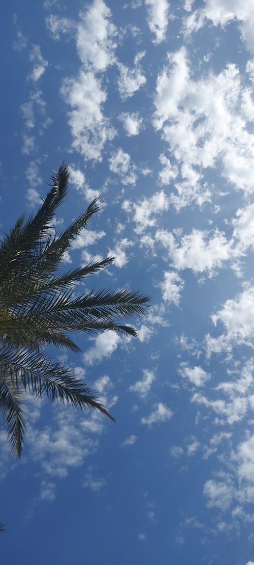 Free stock photo of blue, bluesky, clouds Stock Photo