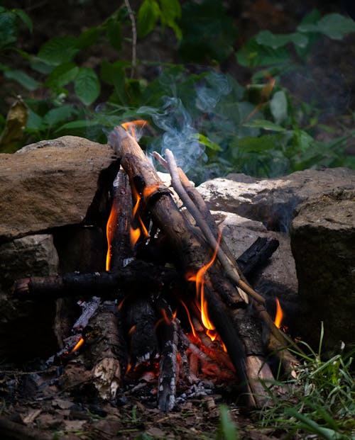 Fotos de stock gratuitas de ardiente, ascua, atractivo