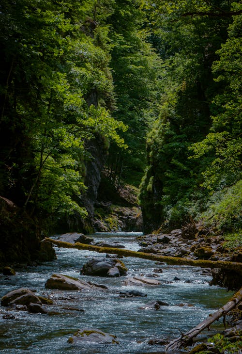 Fotobanka s bezplatnými fotkami na tému cestovať, exteriéry, hora