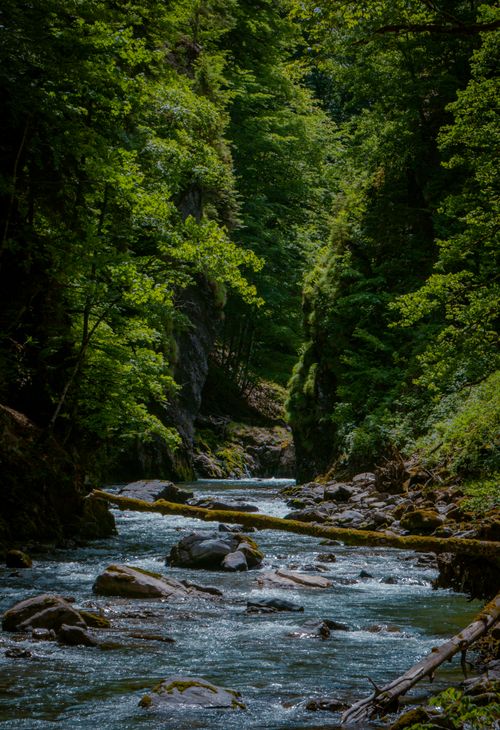 Free A serene river winding through a lush forest gorge in Oberstdorf, Germany, showcasing nature's beauty. Stock Photo