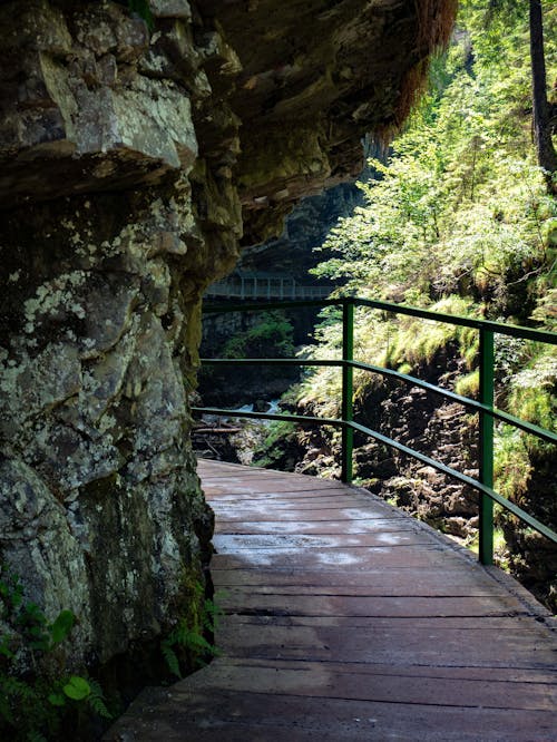 Imagine de stoc gratuită din balustradă de oțel, călătorie, excursie