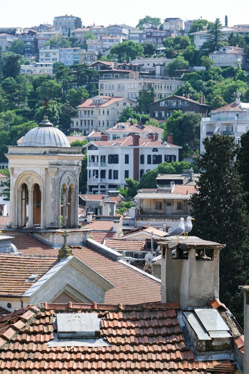 Immagine gratuita di alberi, cittadina, edifici