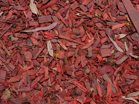 sappanwood red dye wood