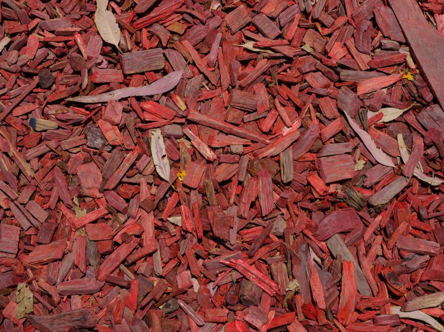 Should you mulch your garden beds in autumn?