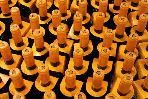 Bottles of Wine in a Basement