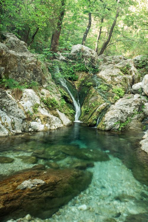 Free Tranquil forest scene featuring waterfall cascading over rocks into clear stream. Stock Photo