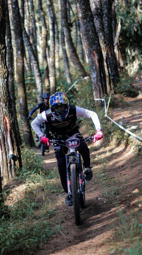 Free Intense mountain biker navigating a forest trail with speed and precision. Stock Photo