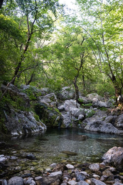 Free Peaceful forest pond amidst rocks and green trees, perfect for nature lovers. Stock Photo