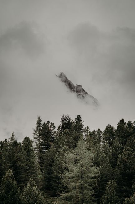 Misty forest scene with a dramatic mountain peak breaking through the clouds.