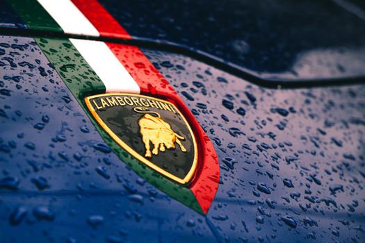 Lamborghini Logo in Front of a Car