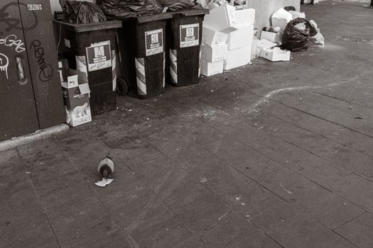 A grayscale photo of overflowing trash bins and a pigeon on a city street.