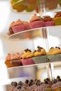 Cupcakes on Stainless Steel Tray