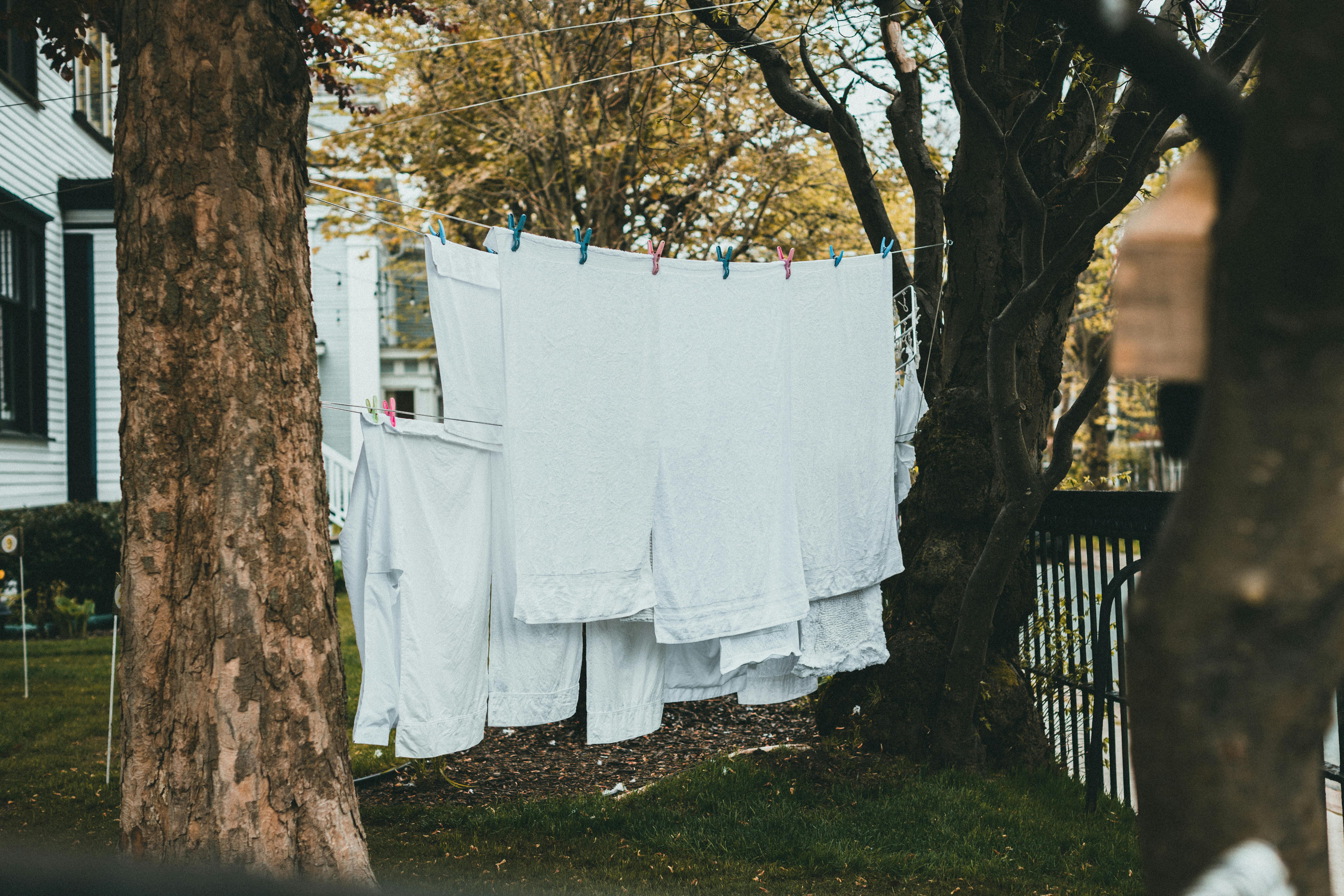 Free White laundry drying on a clothesline between trees in a backyard setting. Stock Photo