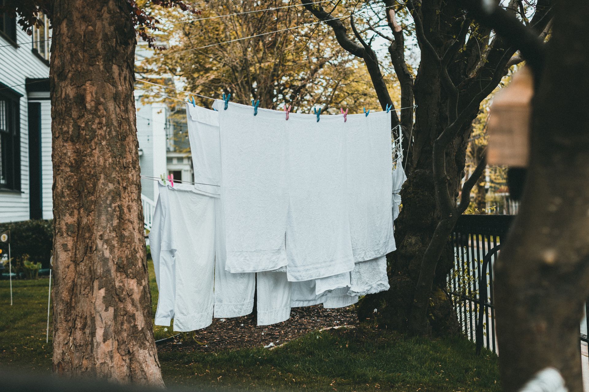 White laundry drying on a clothesline between trees in a backyard setting.