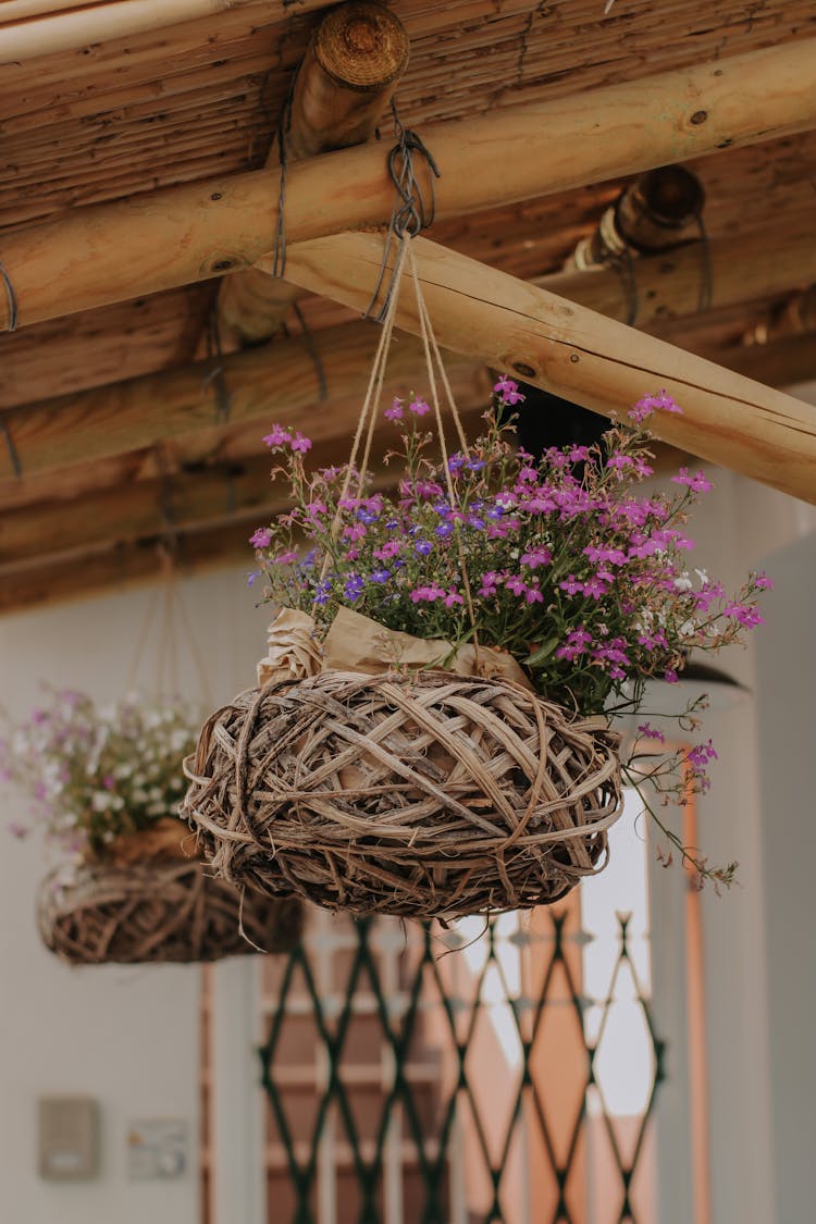 Hanging Flowers On A Woven Pot