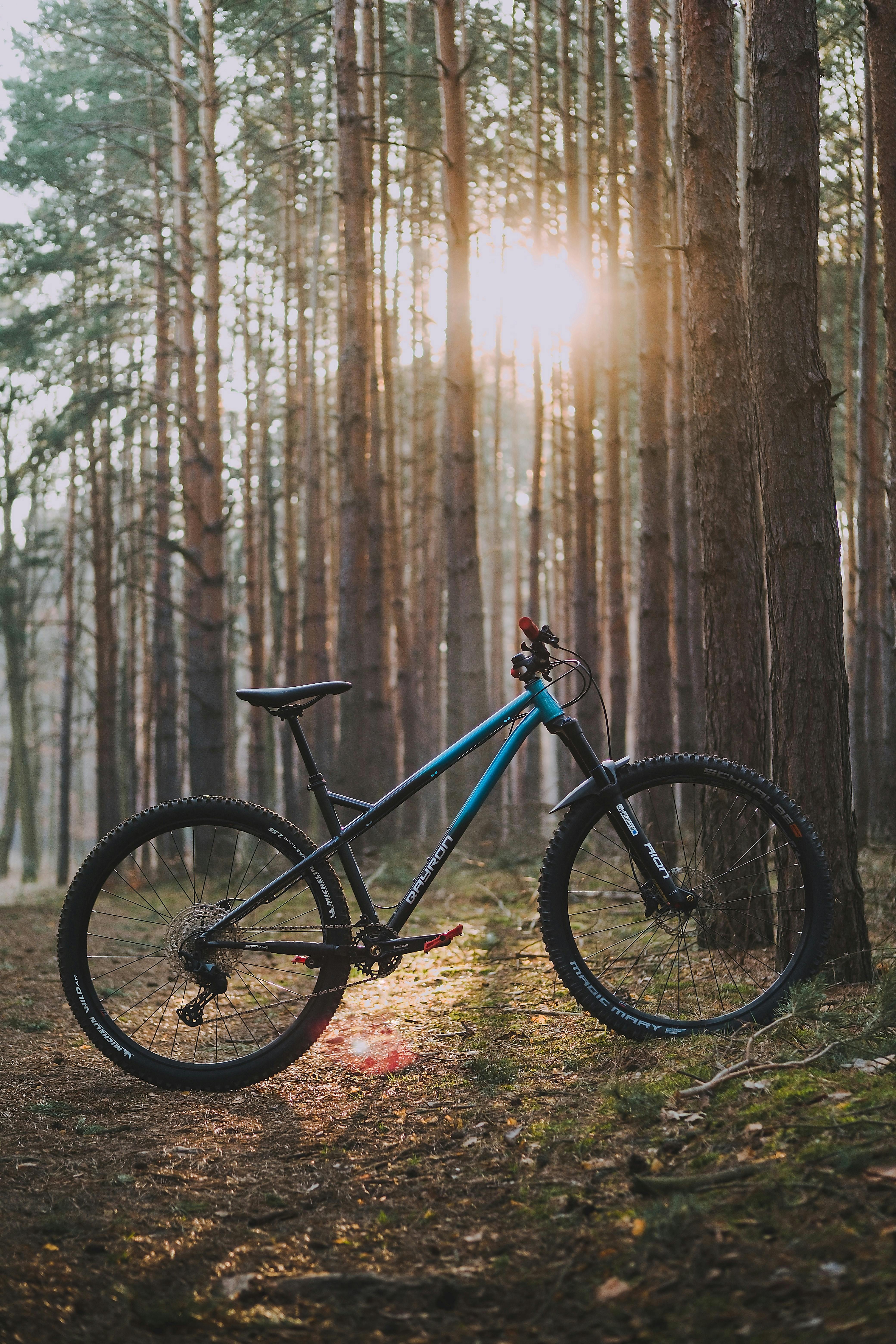 Hardtail mountain bike resting in a serene forest setting during sunrise, capturing nature's tranquility.