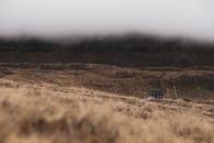 Cabin in the clouds