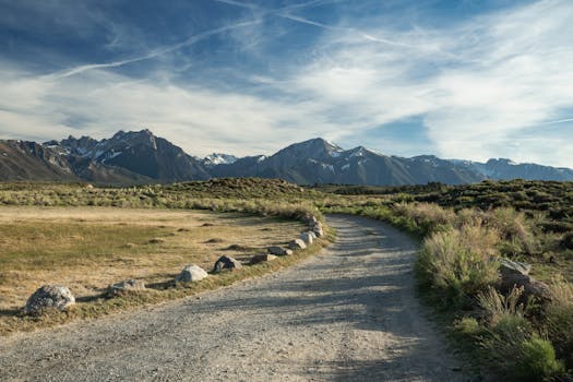 A dirt pathway leading through a scenic grassy field towards snow-capped mountains under a clear sky.