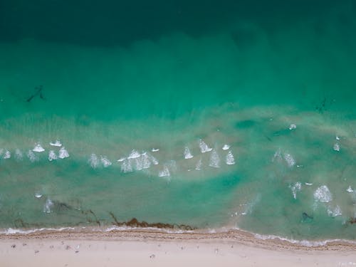 Aerial View of the Beach